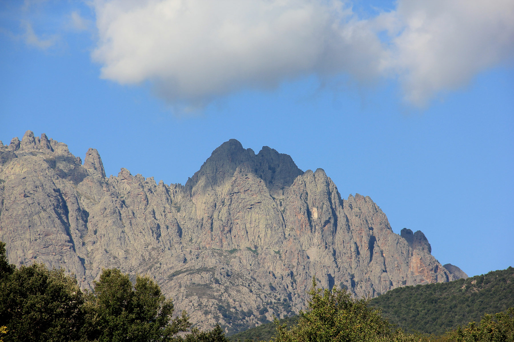 Calvi